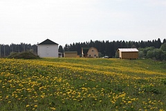 Коттеджный посёлок Старое село