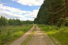 Коттеджный посёлок Участки в д. Напутново