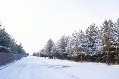 Коттеджный посёлок Сказка в лесу Алеканово