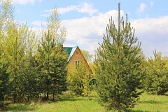 Коттеджный посёлок Кабаново