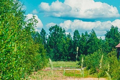 Коттеджный посёлок Белоостровская жемчужина