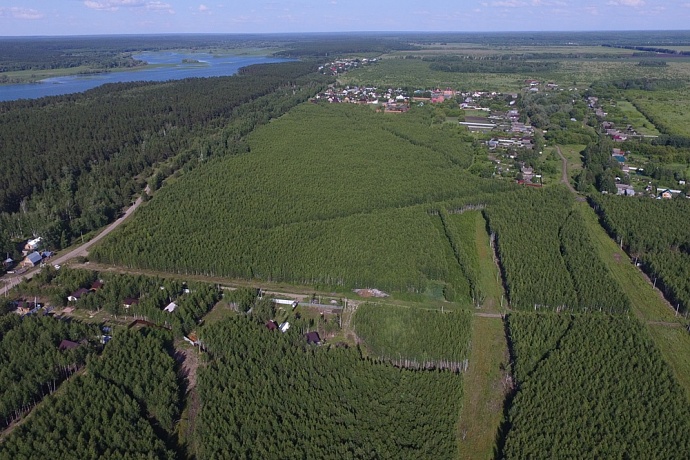 Ульяновская область садовка карта