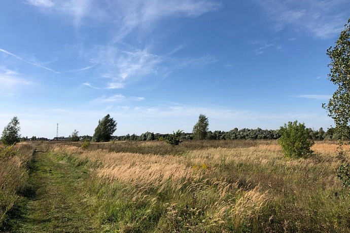 Участок n 13. Поселок Лужки Московская область. Лужки (деревня, городской округ Истра). Лужки средние. Деревня Лужки Серпуховский район.